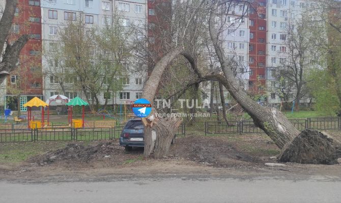 На улице Новомосковской в Туле два дерева рухнули на детскую площадку