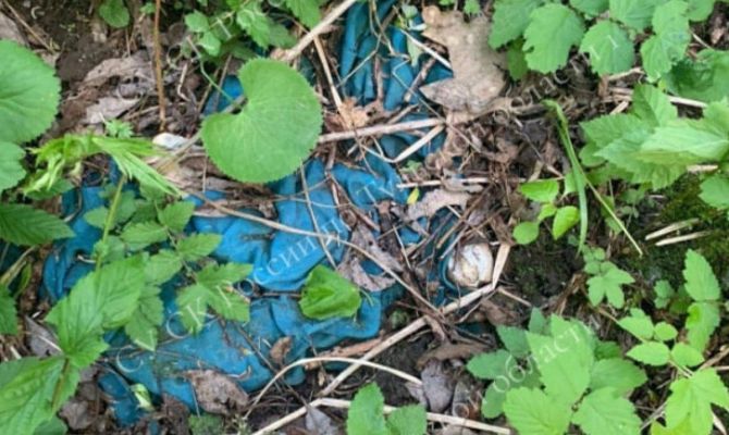 В лесу под Тулой нашли человеческие кости