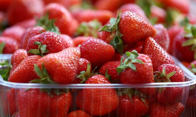 Как майские заморозки повлияют на урожай клубники