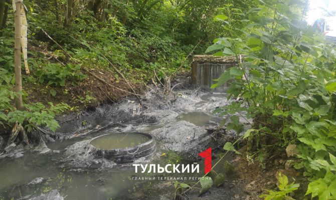 В лес под Тулой уже 4 года сбрасывают нечистоты
