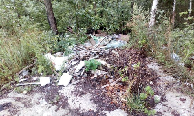 Под Алексином обнаружена крупная свалка ртутных ламп