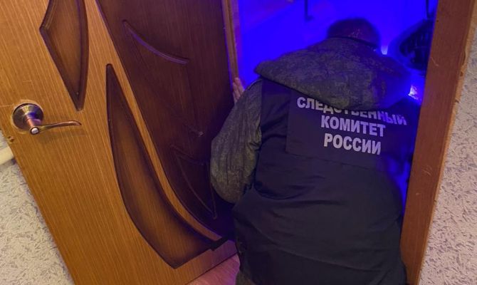 В Богородицке 66-летняя женщина зарезала жену внука во время ссоры