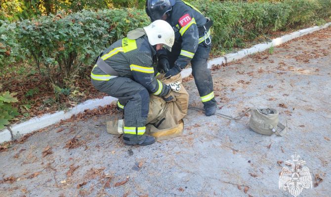 В Одоеве пожарные спасли собаку из подвала