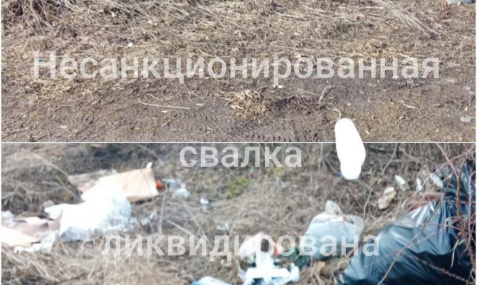 Прокуратура заставила муниципалитет убрать стихийную свалку около Нижнего Изгора