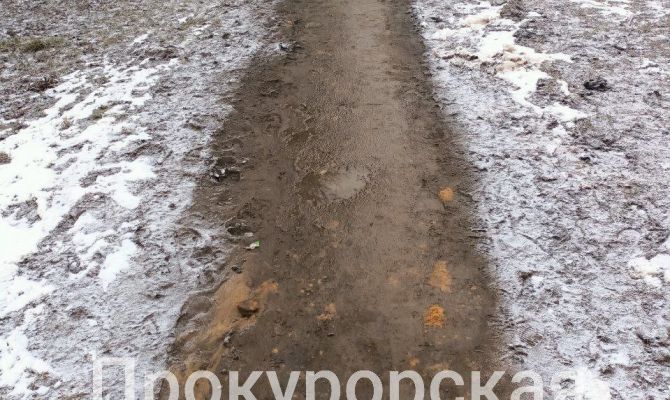 Пациенты Щекинской больницы вынуждены ходить к врачам по проезжей части