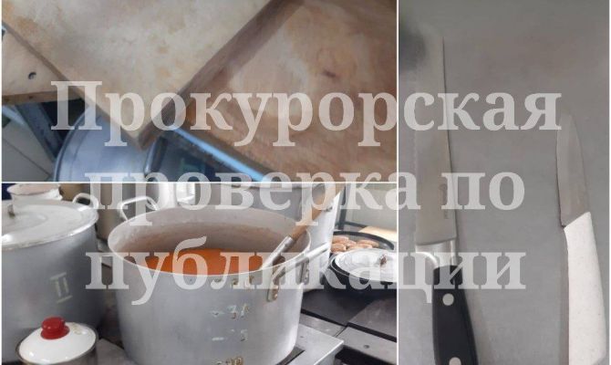 Детский сад в Узловой заполонили тараканы 