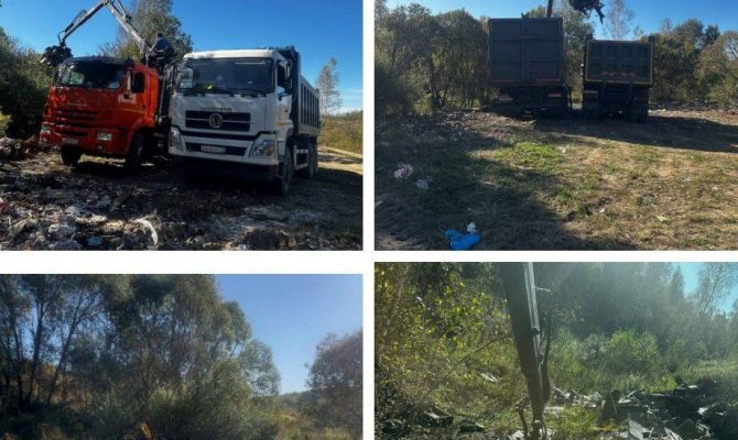 В Тульской области обнаружили шесть несанкционированных свалок