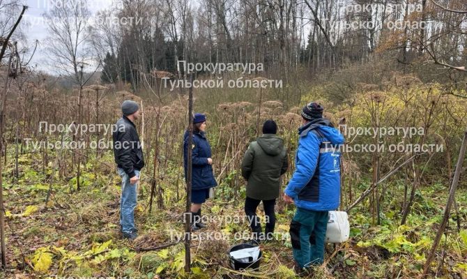 Туляк пожаловался на незаконный сброс сточных вод в Заокском районе