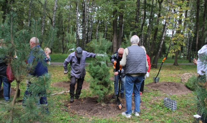 С начала года в парках Тулы высадили более 1600 деревьев и кустарников