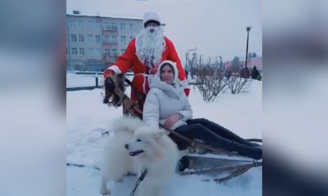 Собачья упряжка, новогодние открытки и «Тайный Дед Мороз»: как в Туле встречают туристов