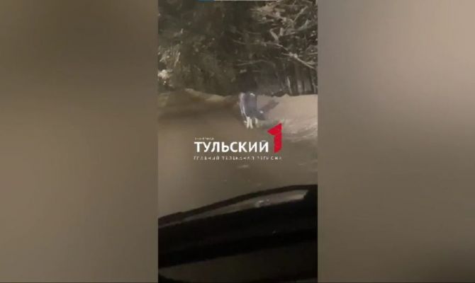 Сбежавших пони и лошадь заметили в Туле
