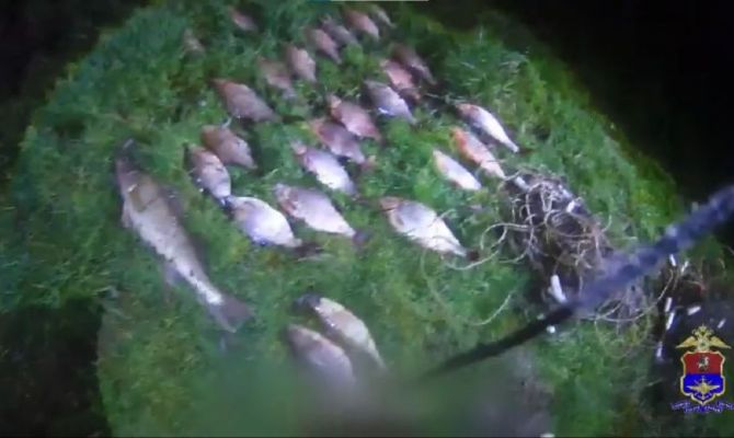 Уголовное дело завели на рыбаков-браконьеров из Алексина