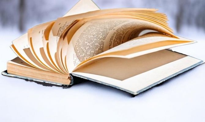 «Бабушкина схема» стала финансовым словосочетанием 2025 года