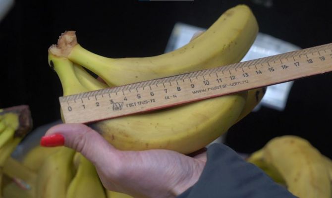Бананы короче 14 сантиметров запретят продавать в России