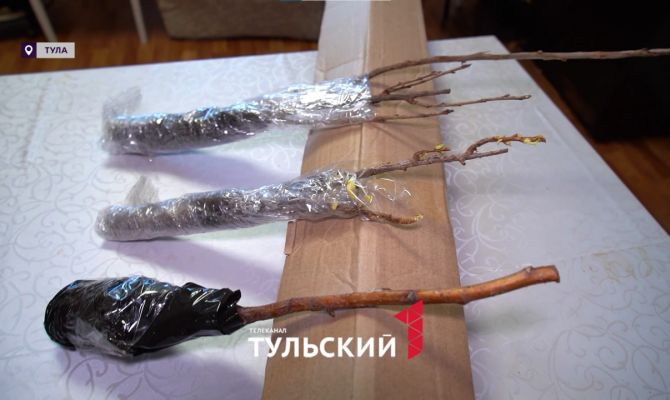 Житель Новомосковска купил удобрения за 9 млн рублей