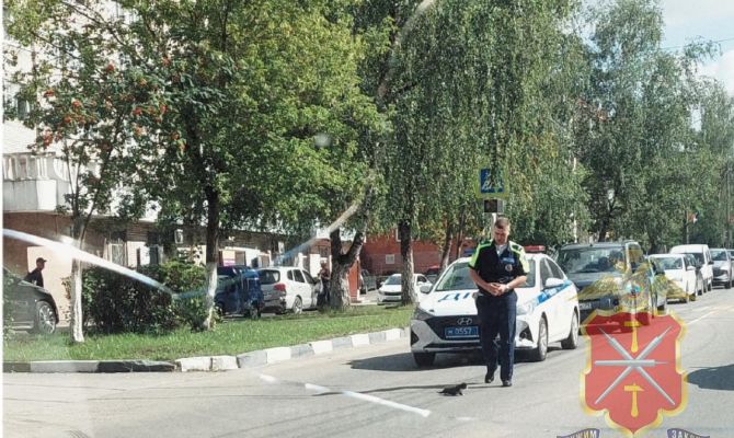 Сотрудник Госавтоинспекции из Алексина спас котёнка