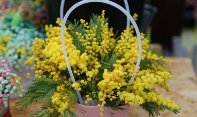 В Туле продавцы рассказали о ценах на цветы перед 8 Марта