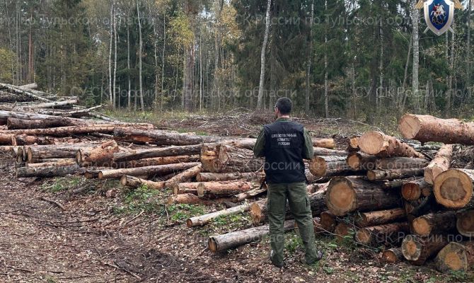 Следователи проводят проверку по факту незаконной вырубки лесов в Заокском районе