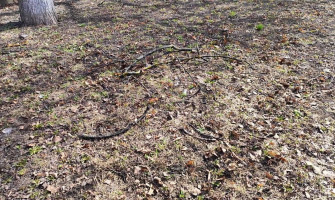 Названы маршрут и сроки весенней уборки Тулы