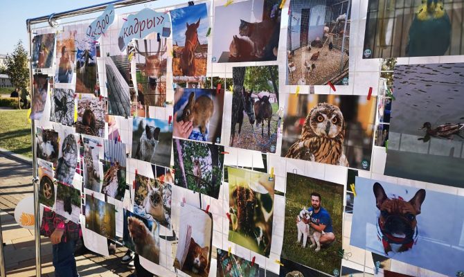 "Тула молодая": на Казанской набережной прошла ежегодная фотовыставка