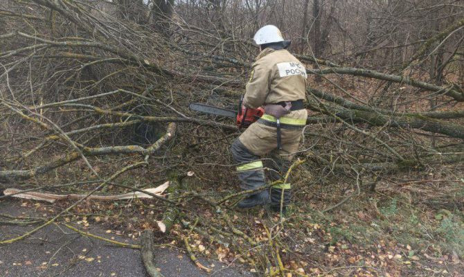 Сколько машин повредил штормовой циклон «Мартина» в Тульской области