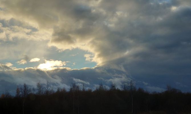 Туман и гололед: в Тульской области объявлено метеопредупреждение