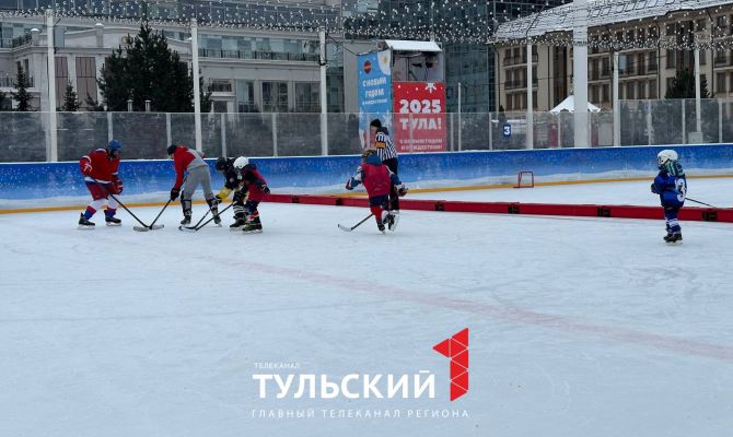 Туляки вышли поиграть в хоккей целыми семьями