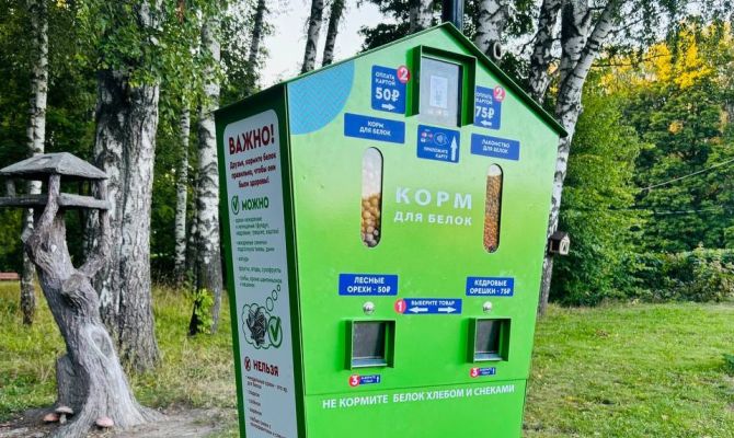В Центральном парке Тулы появился аппарат с кормом для белок