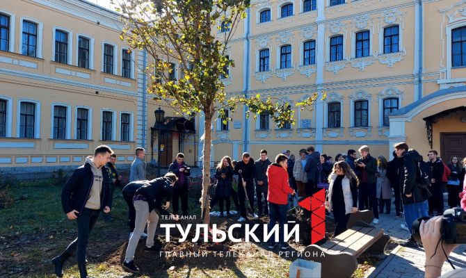 Возле 1-го корпуса ТГПУ высадили исторический клен