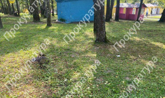 Стали известны подробности происшествия в детском лагере под Тулой