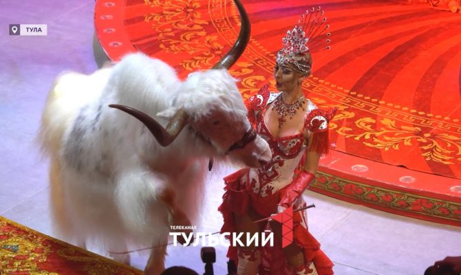Цирк Гии Эрадзе готовится удивить Тулу "по-королевски"