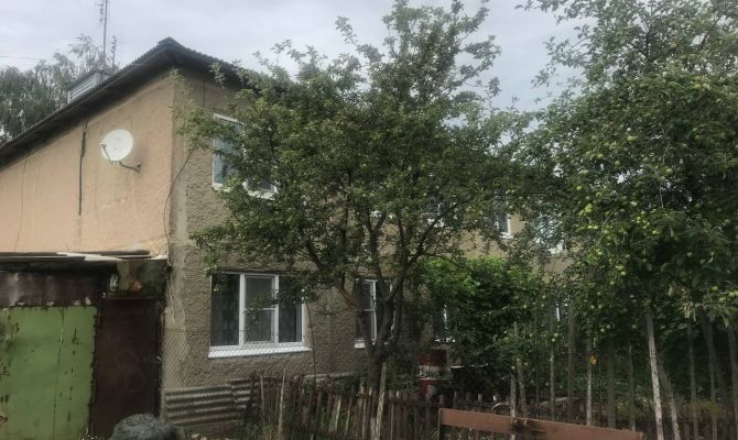 Под Новомосковском мужчина стрелял в бродячую собаку и ранил ребенка