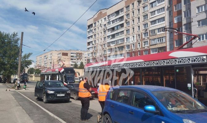 В Туле женщина и две собаки попали под колеса иномарки