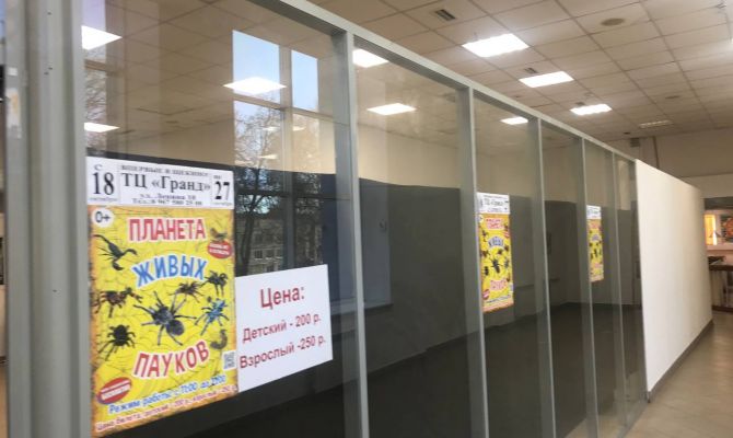 Жители Щекино пожаловались на условия содержания животных в контактном зоопарке