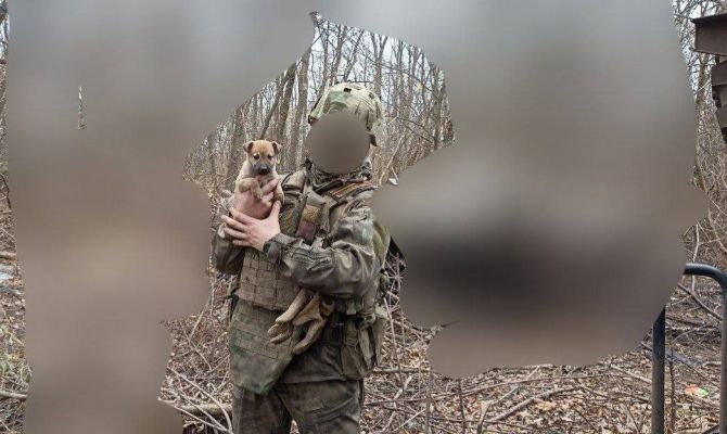 Тульские десантники спасли щенка от обстрела в зоне СВО