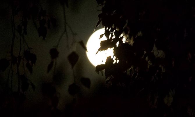 Какие астрономические явления туляки смогут увидеть в июне