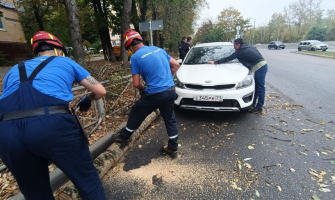 В Туле устраняют последствия сильного ветра