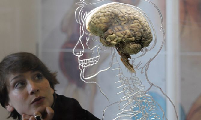 Пользователи интернета назвали признаки умных людей