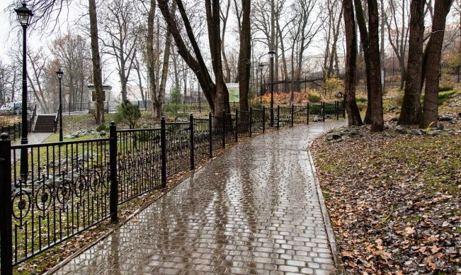 В ночь на 2 ноября в Тульской области будет дождь и сильный ветер