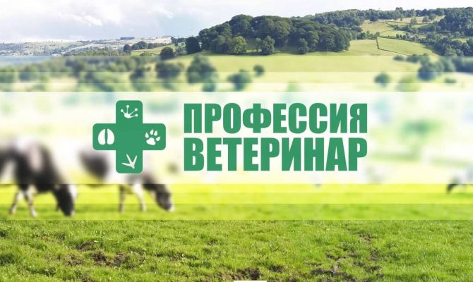 Профессии: Ветеринар