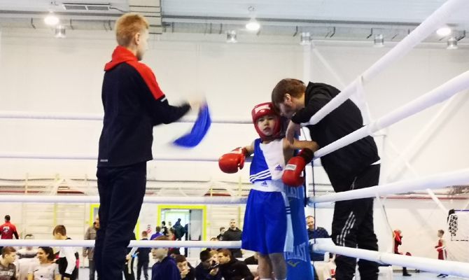 В Узловой прошел межрегиональный турнир по боксу