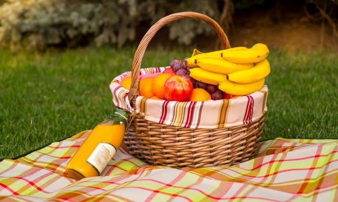 Эксперты рассказали, как организовать экологический пикник 