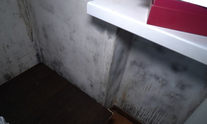 В Туле уже 3 года плесень отвоевывает квартиры у жильцов многоэтажки