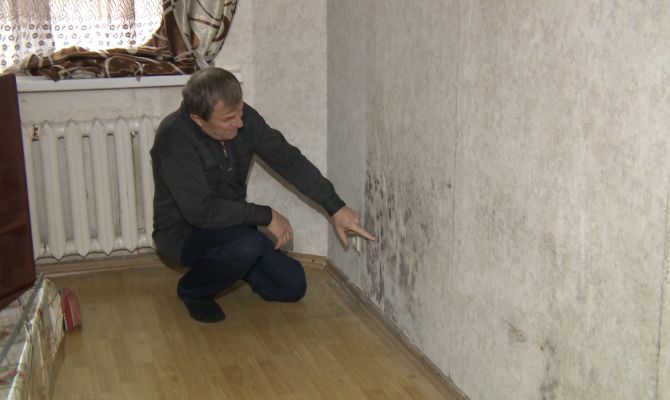 В квартире туляков вырос зеленый мох и черная плесень