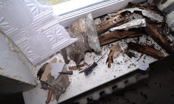 Плесень на стенах: кто должен платить за ремонт в квартире