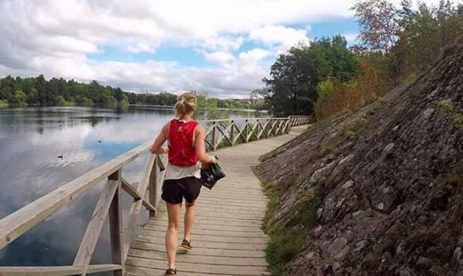 Плоггинг и блоггер: как не перепутать