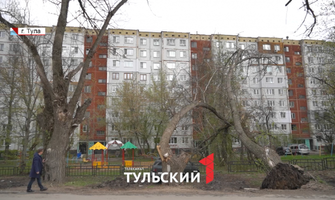 По Туле прошел шторм: как город пережил сильный ветер