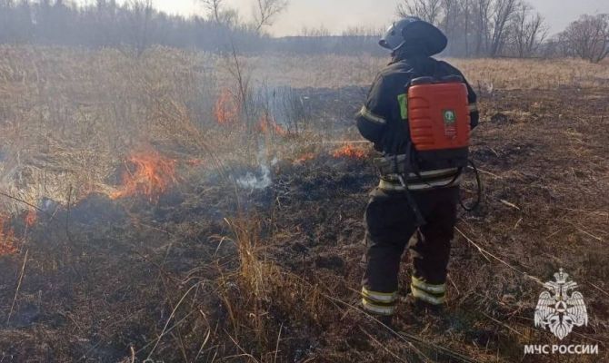 В Тульской области зафиксировали 17 случаев возгорания травы