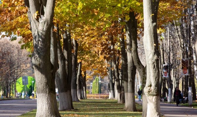 Сентябрь в Туле побил 4 температурных рекорда