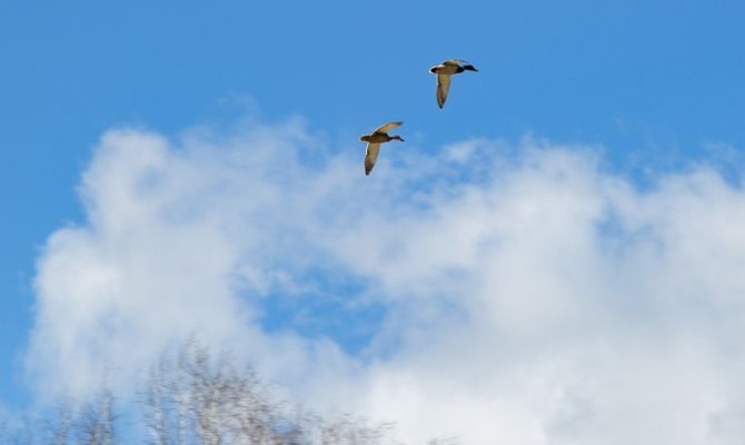 27 мая в Туле ожидается переменная облачность